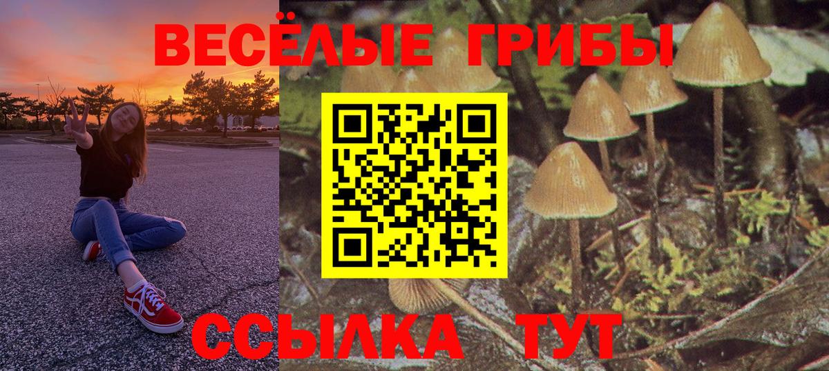 Алапаевск  даркнет сайт  Вход с VPN  Псилоцибиновые грибы Psilocybe 